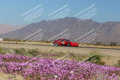 media/Jan-29-2023-PCA San Diego (Sun) [[aa0301ccc2]]/Yellow Group/Session 1 (Turn 15 Bloom)/